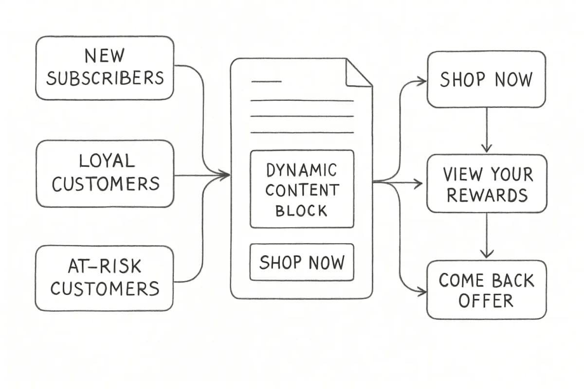 Diagram showing dynamic content personalization across subscriber segments. Left side shows three subscriber segments (e.g., 'New Subscribers', 'Loyal Customers', 'At-Risk Customers'). Center shows the same email template with a dynamic content block highlighted. Right side shows how each segment sees different content: new subscribers see 'Shop Now', loyal customers see 'View Your Rewards', at-risk customers see 'Come Back Offer'. Use arrows to connect each segment to their personalized content variation.
